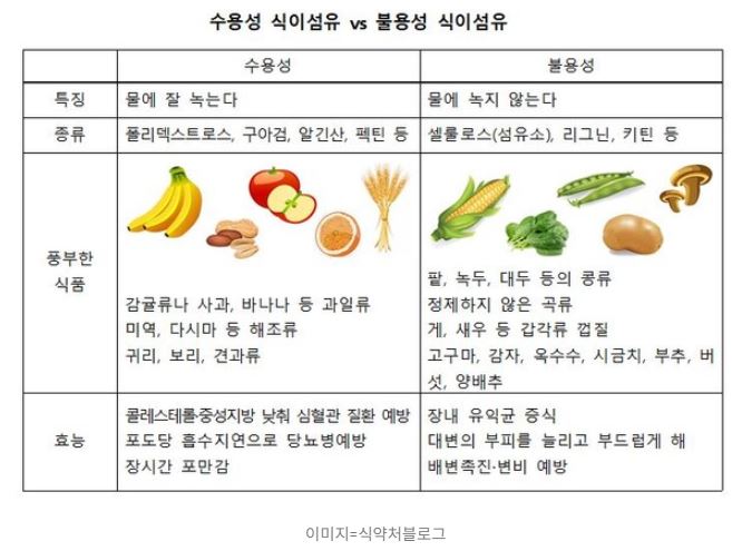 수용성 불용성 식이섬유 비교표