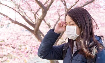 꽃가루 알레르기 결막염 증상