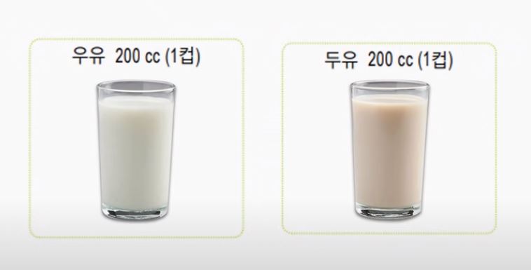 당뇨 환자를 위한 유제품 가이드 — 우유 종류별 혈당 영향 비교