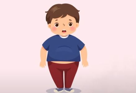 보리밥 vs 현미밥, 건강 효능 비교(다이어트, 당뇨, 콜레스테롤)