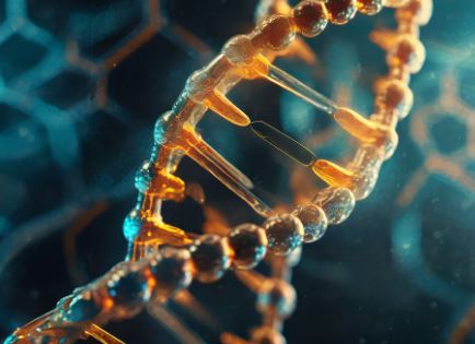 단백질 식품 종류와 효능 — 단백질 약으로 먹는 방법