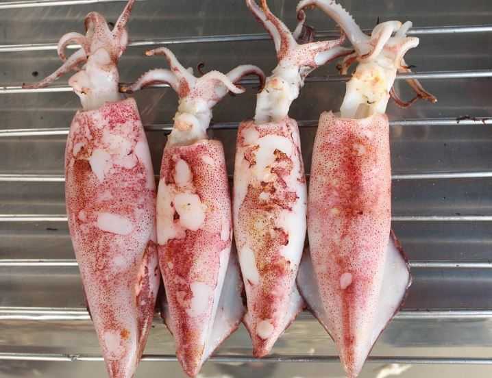 오징어 구이 영양 성분 단백질