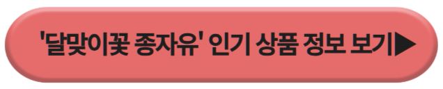 달맞이꽃 종자유