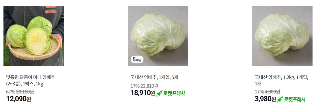 양배추 인기상품
