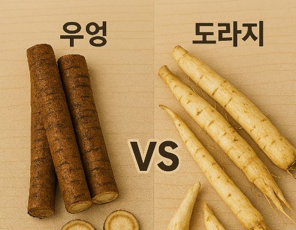 우엉 vs 도라지, 해독과 기관지 건강엔 누가 더 강할까?