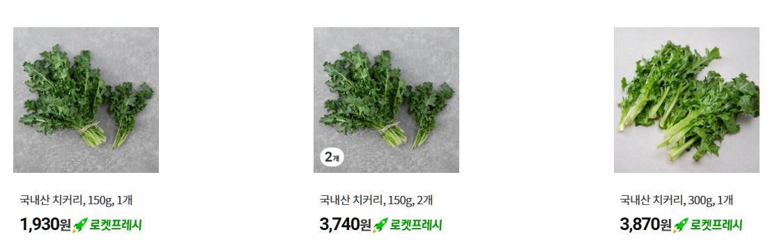 치커리 인기 상품