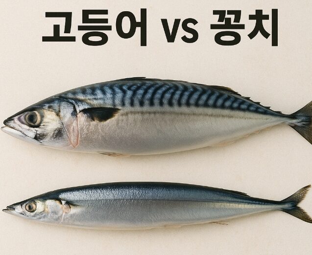 고등어 vs 꽁치, 뇌 건강에 좋은 생선은 무엇?