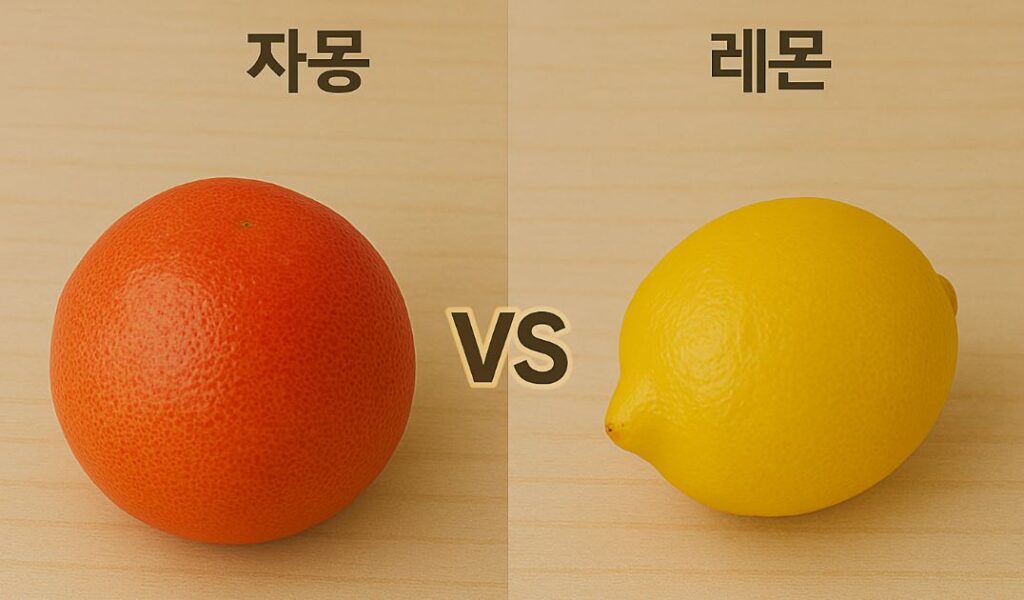 자몽 vs 오렌지, 진짜 면역력에 더 좋은 과일은?