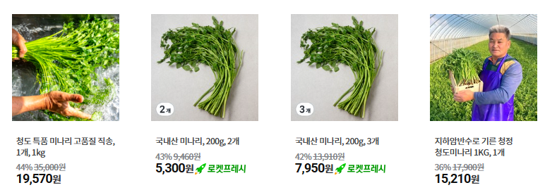 미나리 인기상품