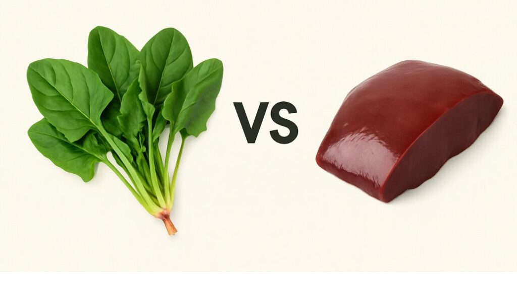 시금치 vs 간, 철분결핍에 진짜 좋은 음식은?