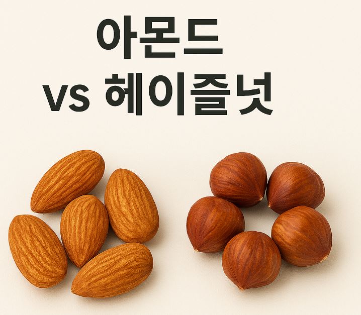 아몬드 vs 헤이즐넛, 치매 예방엔 이것을 드세요.