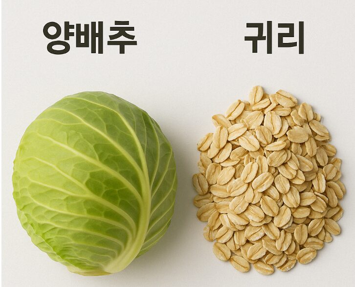 양배추 vs 귀리, 통풍 관리에 더 효과적인 음식은?