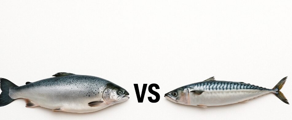 연어 vs 고등어, 심장 건강에 더 좋은 생선은?