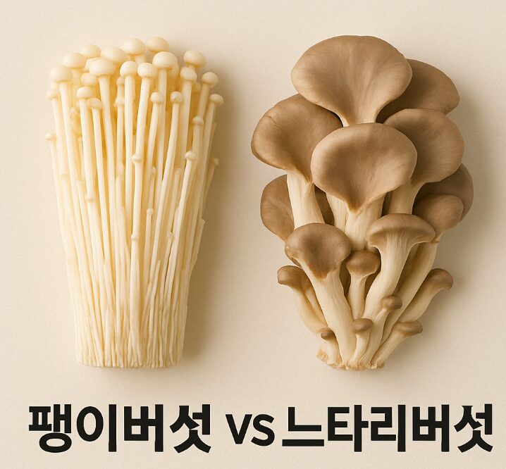 팽이 버섯 vs 느타리 버섯, 면역력에 더 좋은 버섯은?