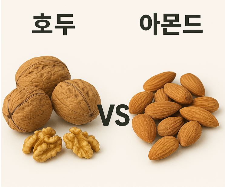 호두 vs 아몬드, 안검염에 좋은 음식은?
