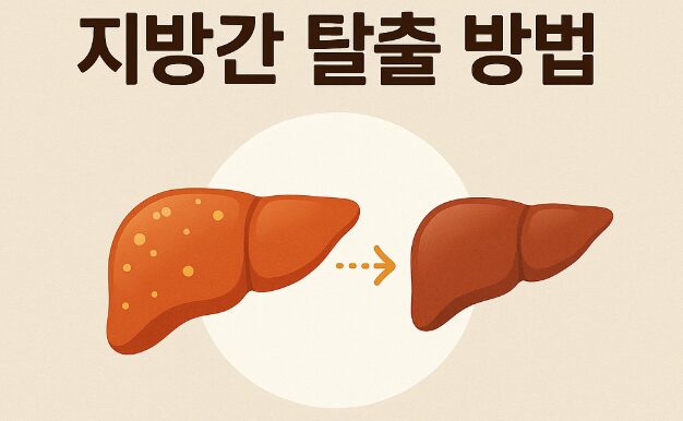 4주 관리로 지방간 탈출 방법 정리!
