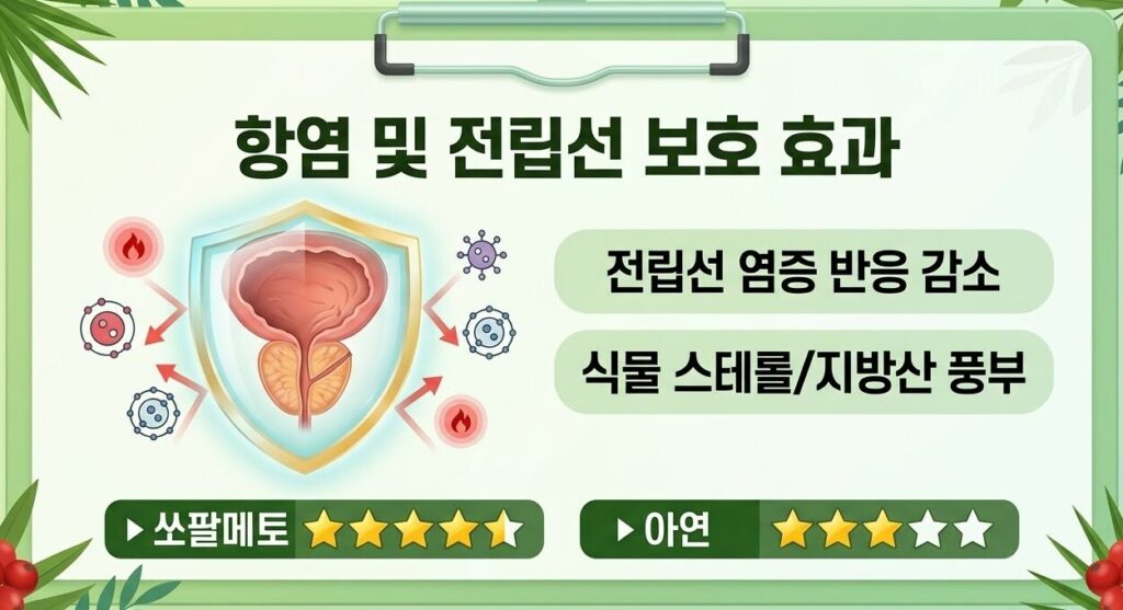 전립선-보호-효과