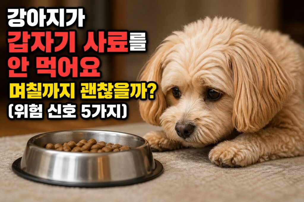 강아지가 갑자기 사료를 안 먹어요 — 며칠까지 괜찮을까? (위험 신호 5가지)