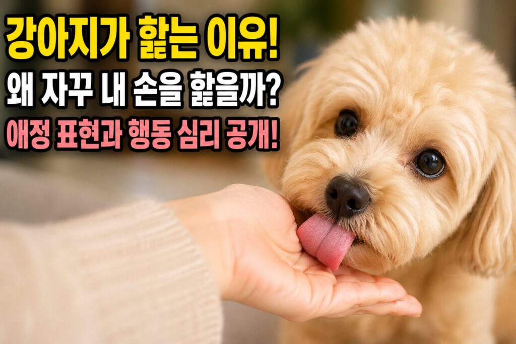 강아지가 주인 손·발을 핥는 이유 5가지 — 언제 멈춰야 할까?