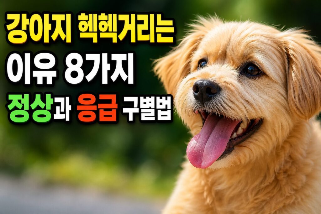 강아지 헥헥거리는 이유 8가지 — 정상과 응급 구별법