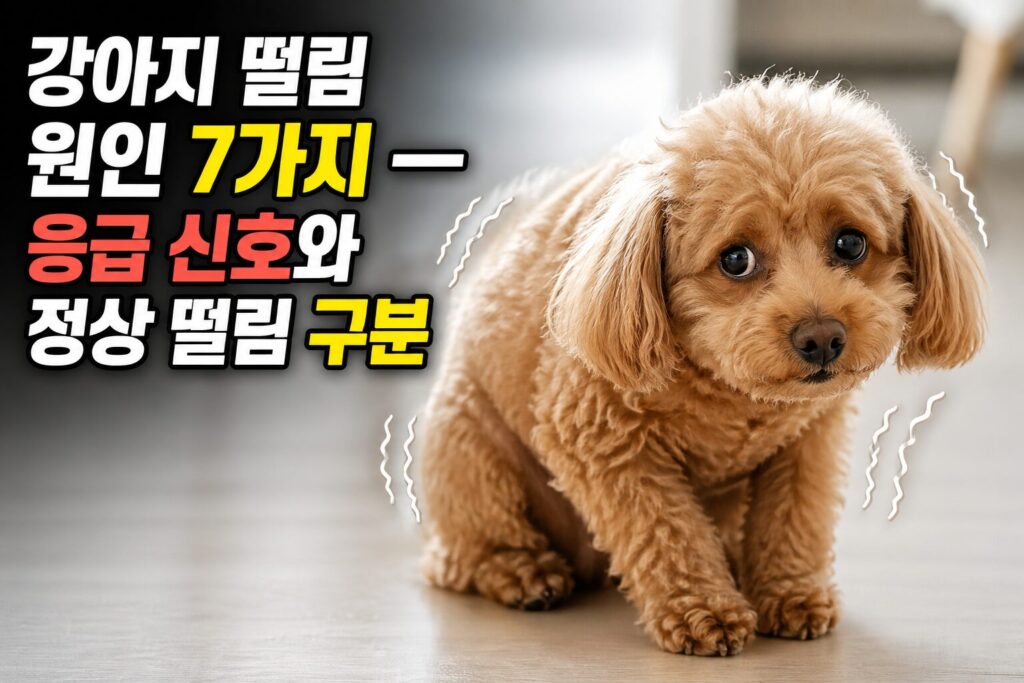 강아지 떨림 원인 7가지 — 응급 신호와 정상 떨림 구분