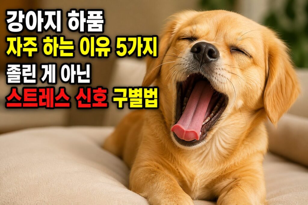 강아지 하품 자주 하는 이유 5가지 — 졸린 게 아닌 스트레스 신호 구별법