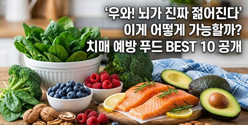 치매 예방 음식 BEST 10 — 뇌 건강 지키는 식단 완벽 가이드