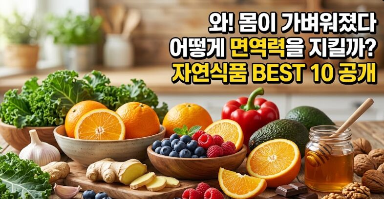 면역력 높이는 음식 BEST 10 – 자연식품으로 면역력 강화하는 법