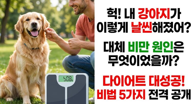 강아지 비만 원인 5가지 & 살 빼는 방법 완벽 가이드
