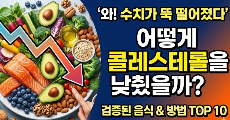 콜레스테롤 낮추는 음식 순위 TOP10 & 수치 낮추는 방법 완벽 가이드