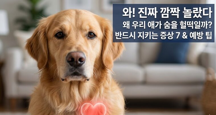 강아지 심장병 증상 7가지와 예방법 – 조기 발견과 관리 완벽 가이드