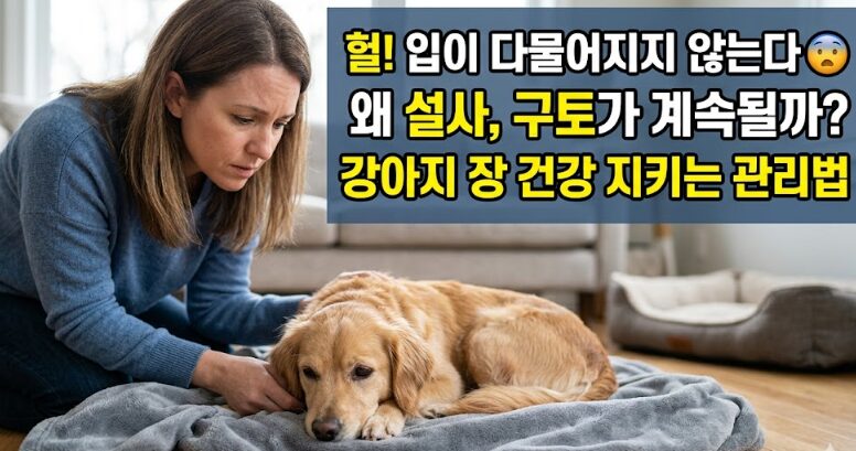 강아지 장 건강, 설사·구토 반복된다면 꼭 확인해야 할 관리법