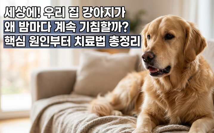 강아지 기침 원인·종류·치료법 완벽 가이드 — 켄넬코프부터 심장병까지