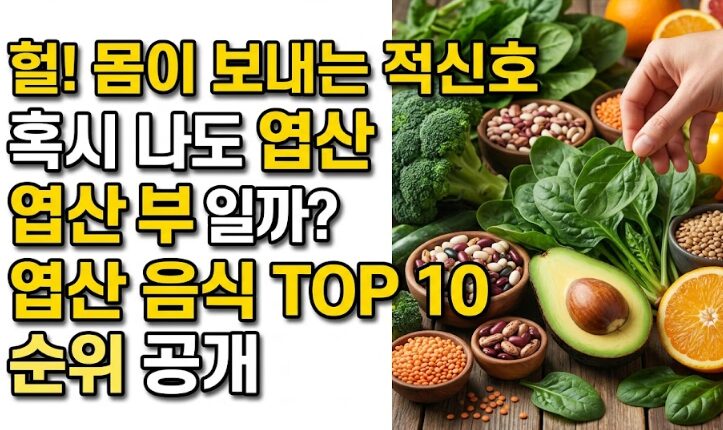 엽산 부족 증상 7가지 & 엽산 많은 음식 순위 TOP10