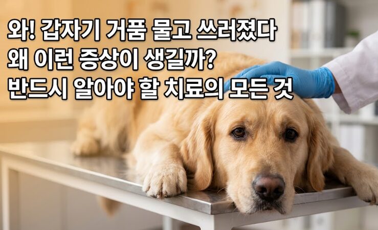 강아지 뇌전증(간질) 증상·원인·치료 완벽 가이드 — 발작 대처법부터 약물 치료까지