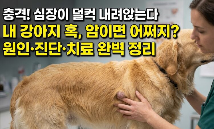 강아지 몸에서 혹·종양 발견했을 때 — 원인·진단·치료 완벽 가이드