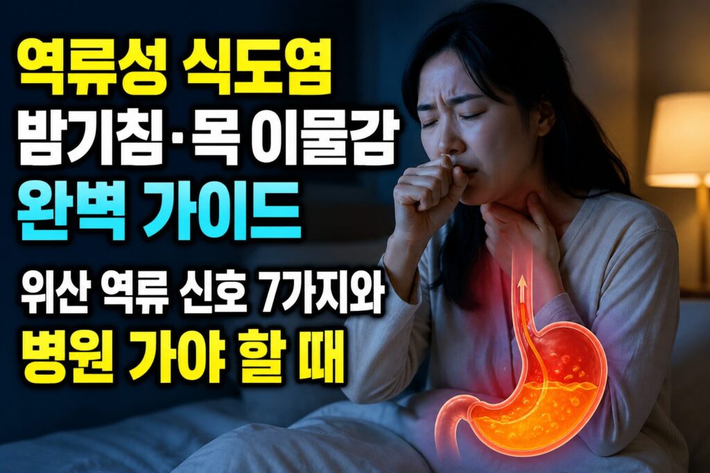 역류성 식도염 밤기침·목 이물감 완벽 가이드 — 위산 역류 신호 7가지와 병원 가야 할 때