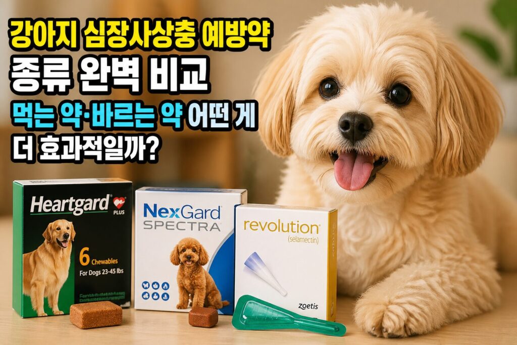 강아지 심장사상충 예방약 종류 완벽 비교 — 먹는 약·바르는 약 어떤 게 더 효과적일까
