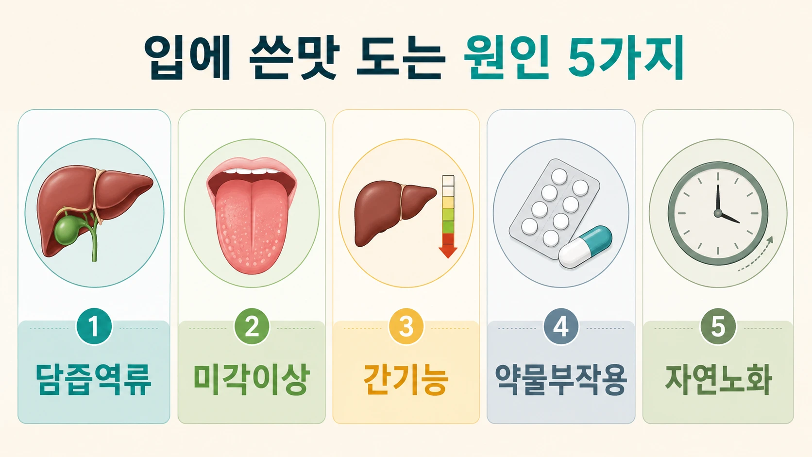 입 쓴맛 원인 5가지(담즙역류·미각이상·간기능·약물부작용·자연노화)를 5칸으로 정리한 의학 인포그래픽
