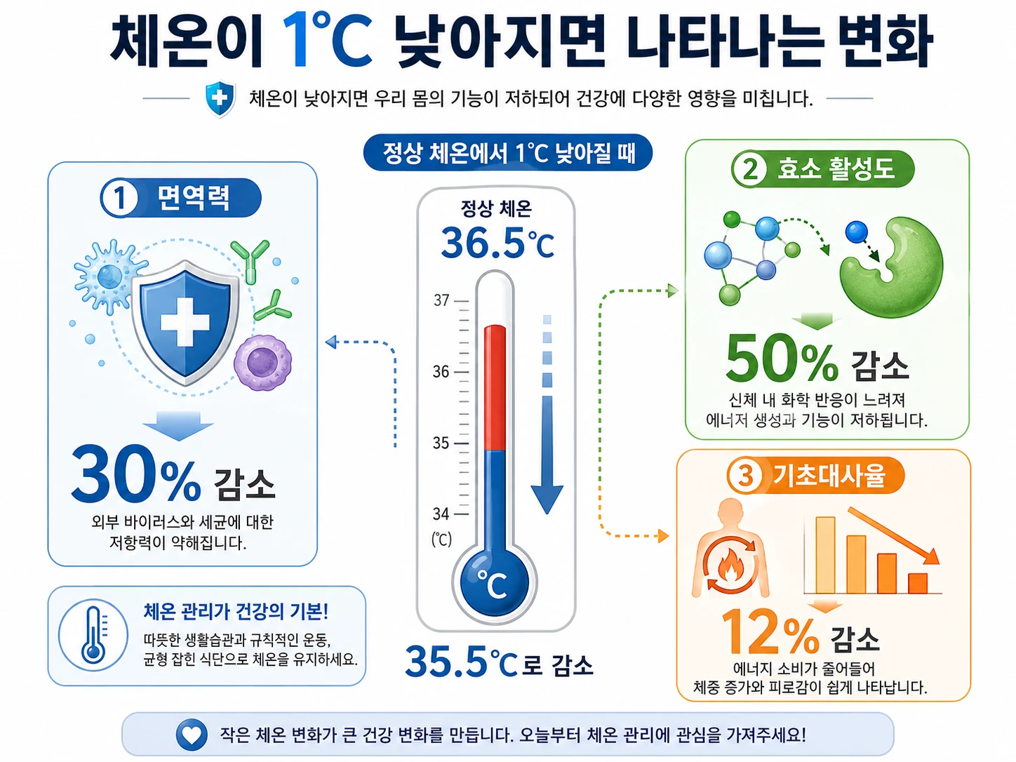 체온이 정상 36.5℃에서 1℃ 낮아질 때 면역력 30%, 효소 활성도 50%, 기초대사율 12% 감소하는 과정을 보여주는 의학 인포그래픽