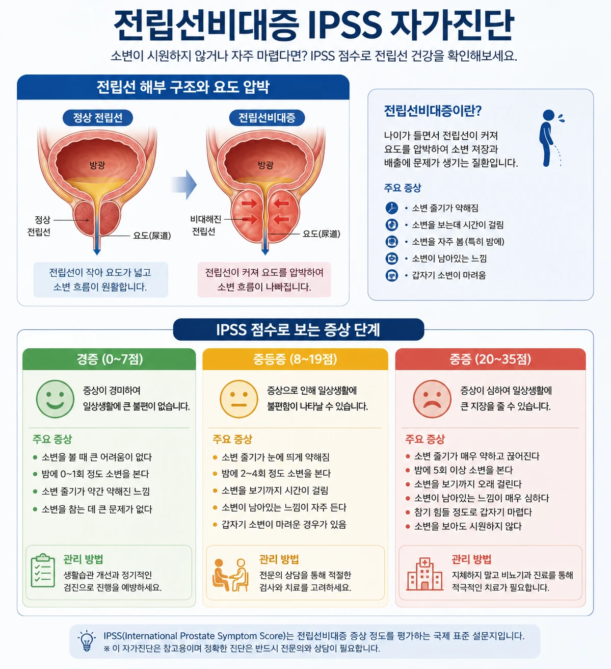 전립선 해부 구조와 IPSS 점수별 경증(0~7점)·중등증(8~19점)·중증(20~35점) 증상 및 치료 단계 비교 인포그래픽