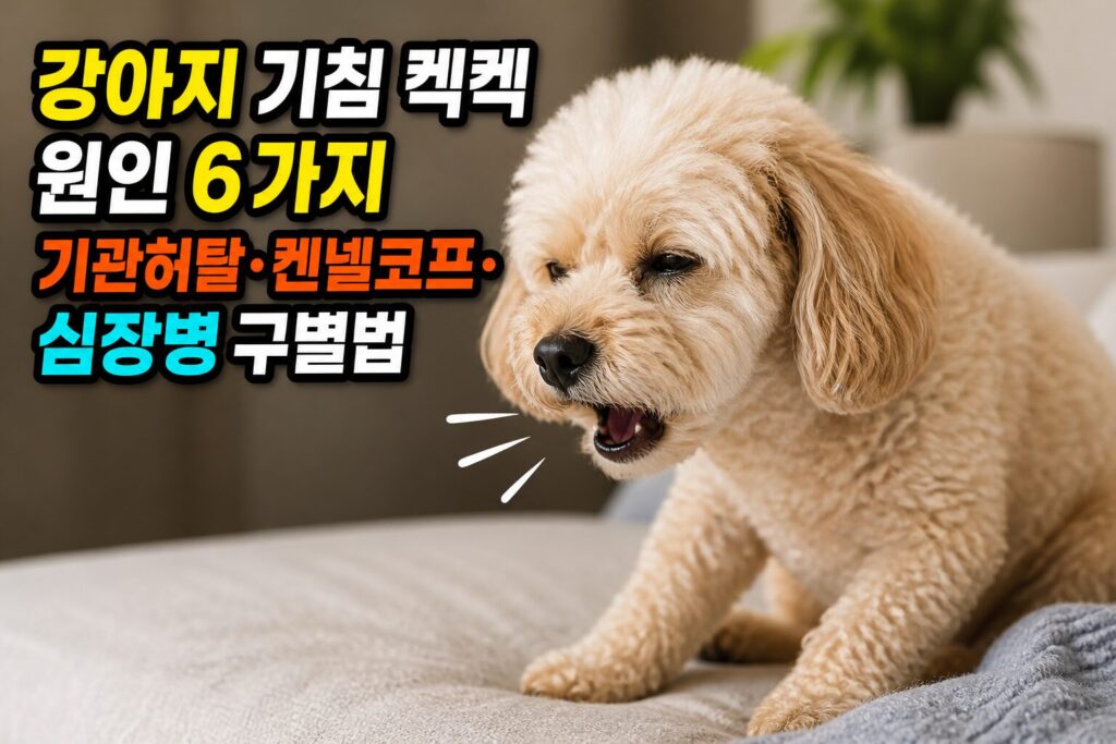 강아지 기침 켁켁 원인 6가지 — 기관허탈·켄넬코프·심장병 구별법
