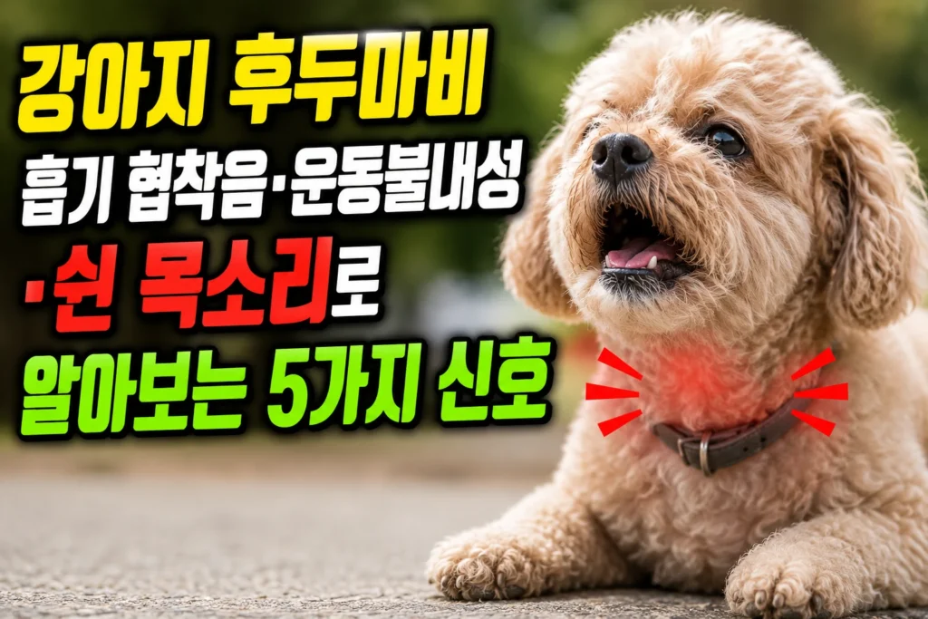 강아지 후두마비 — 흡기 협착음·운동불내성·쉰 목소리로 알아보는 5가지 신호