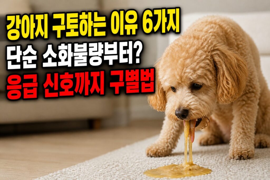 강아지 구토하는 이유 6가지 — 단순 소화불량부터 응급 신호까지 구별법