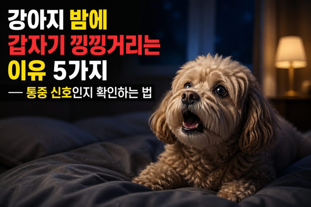 강아지 밤에 갑자기 낑낑거리는 이유 5가지 — 통증 신호인지 확인하는 법