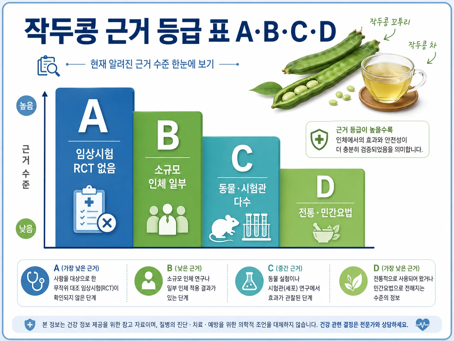자궁내막증 증상 4가지(월경통·성교통·만성 골반통·불임)와 이소성 착상 위치를 보여주는 의학 인포그래픽