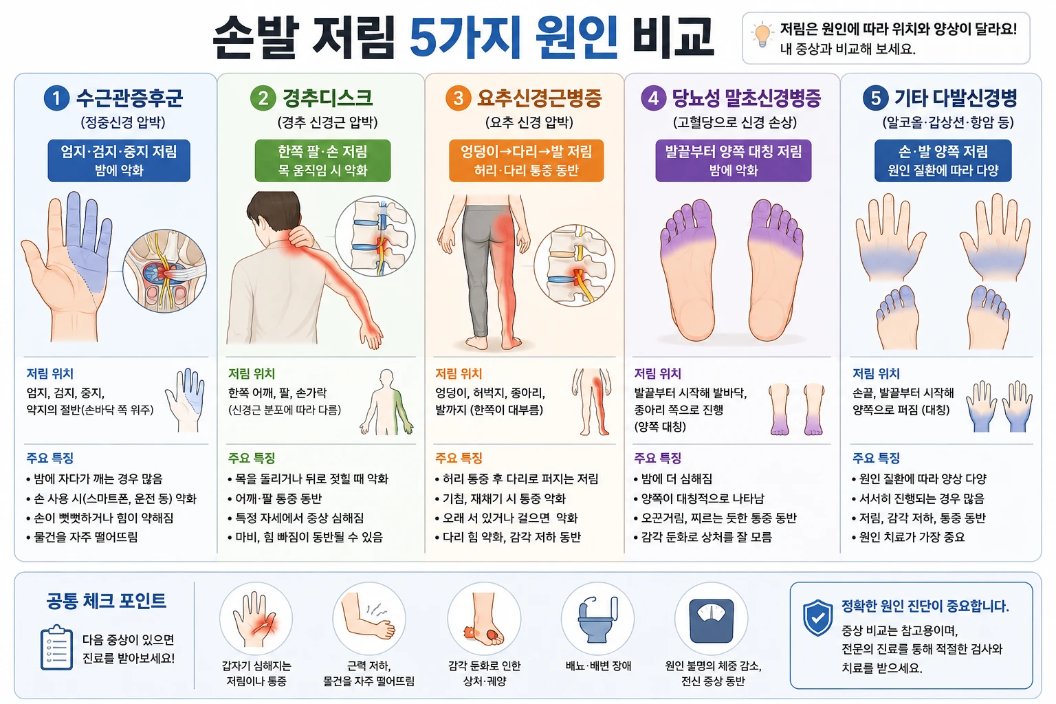 수근관증후군·경추디스크·요추신경근병증·당뇨성 말초신경병증·기타 다발신경병 5가지 손발 저림 원인을 저림 위치와 특징으로 비교한 인포그래픽