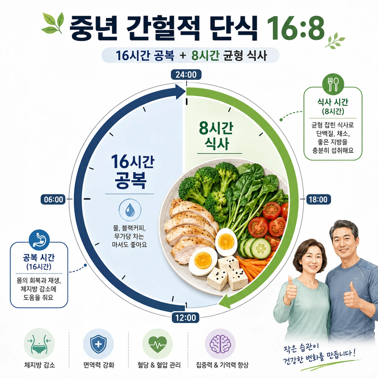 중년 간헐적 단식 16:8 방법 — 원형 타이머로 16시간 공복과 8시간 식사 구간을 표시하고 단백질·채소 균형 식판을 보여주는 인포그래픽