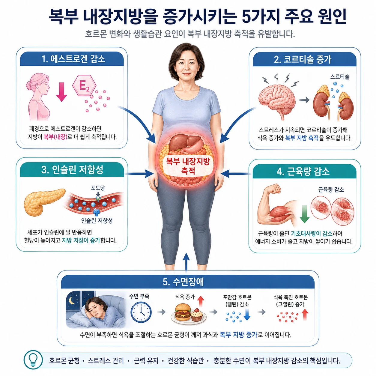 중년 여성 복부 내장지방을 증가시키는 5가지 원인(에스트로겐 감소·코르티솔 증가·인슐린 저항성·근육량 감소·수면장애)을 화살표로 연결한 의학 인포그래픽