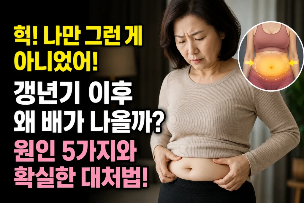 중년 여성 복부비만 원인 5가지 — 갱년기 이후 배가 나오는 이유와 대처법